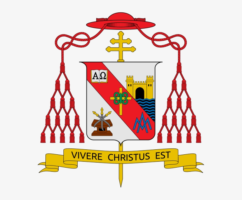 Well, I Am Here To Tell You That As Much As I Want - Cardenal Andrea Cordero Lanza Di Montezemolo, transparent png download
