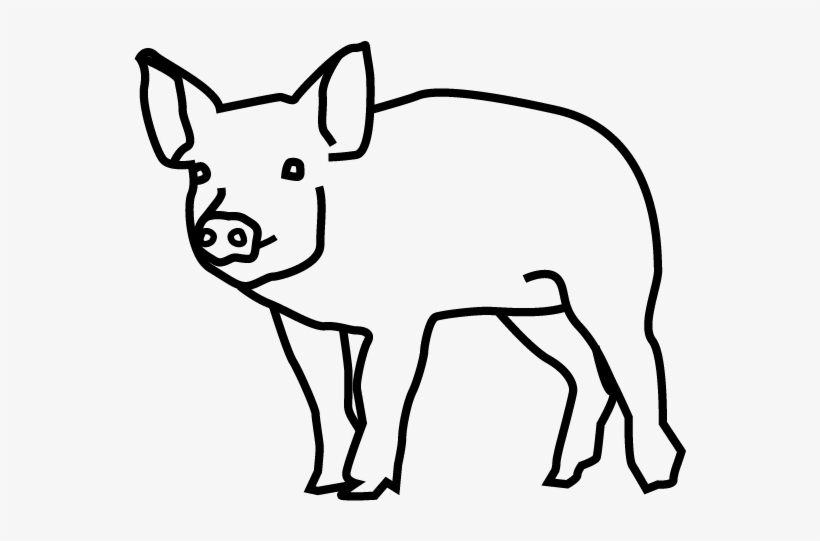 Pig - Domestic Pig, transparent png download