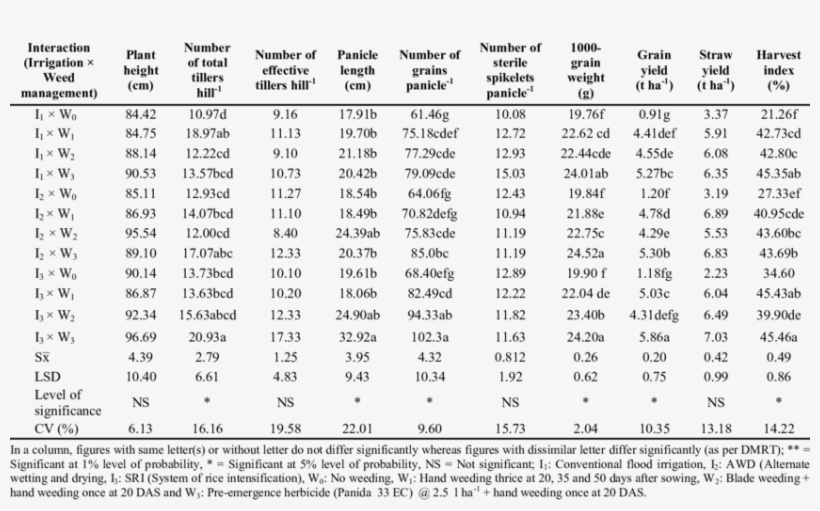 Effect Of Interaction Between Water And Weed Management - Document, transparent png download