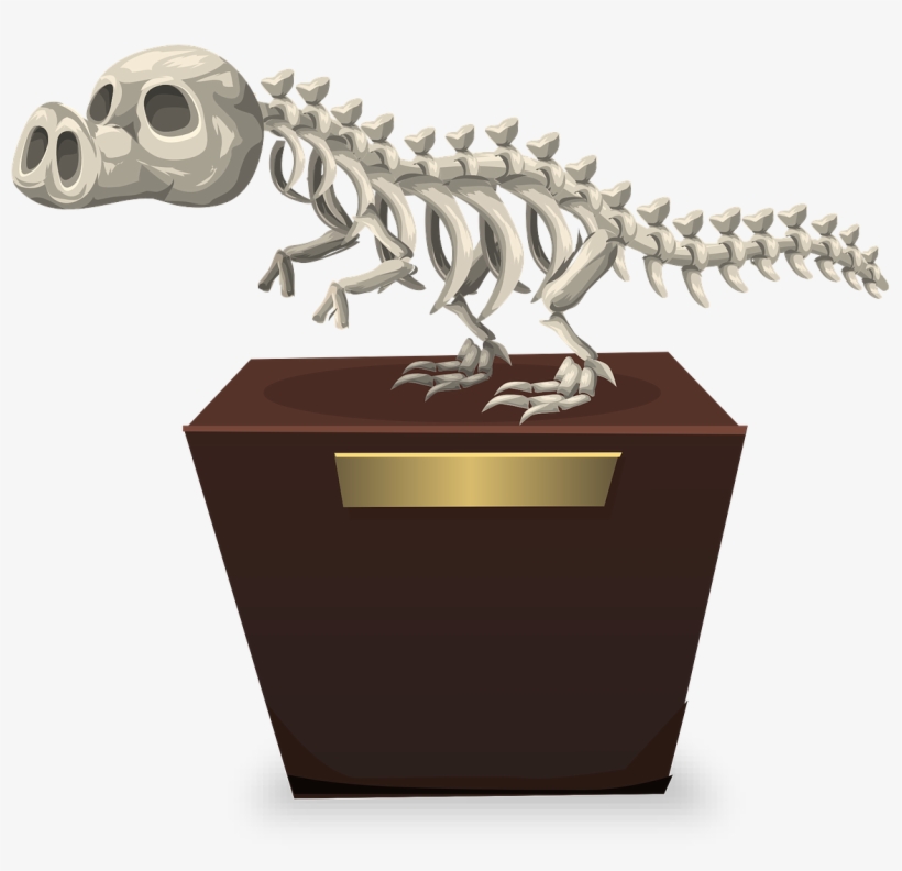 Dinosaur Skeleton Paleontology - ซากดึกดำบรรพ์ การ์ตูน Png, transparent png download