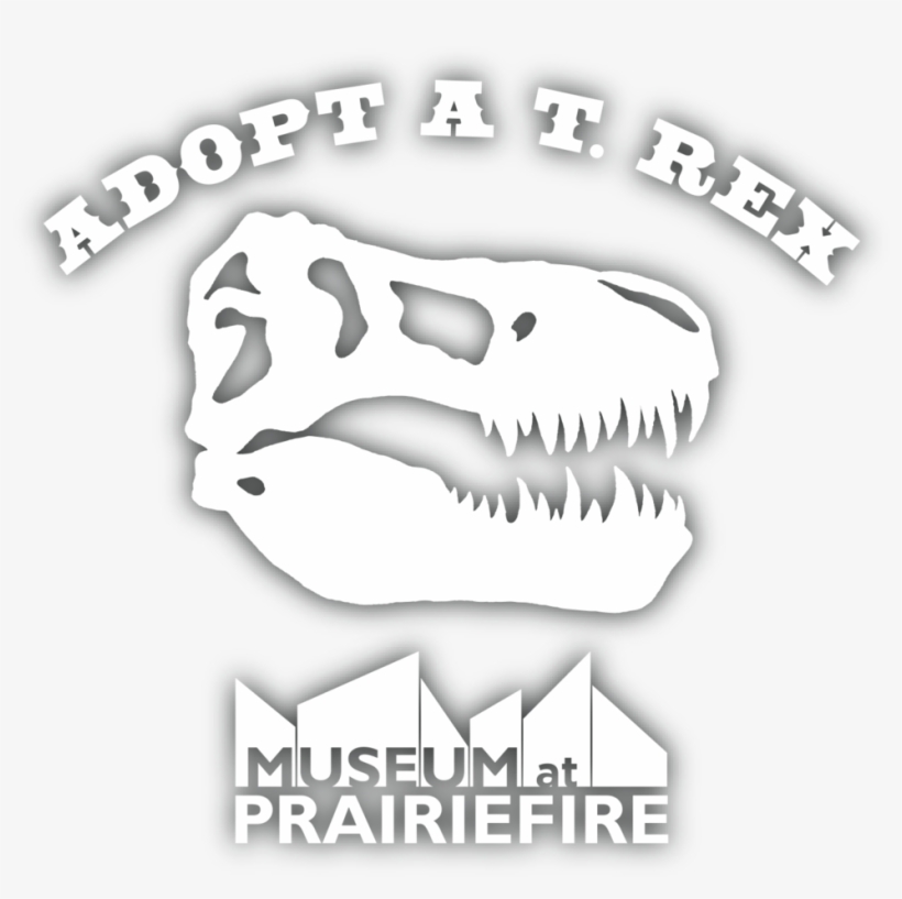 Dinosaur Skull Png, transparent png download