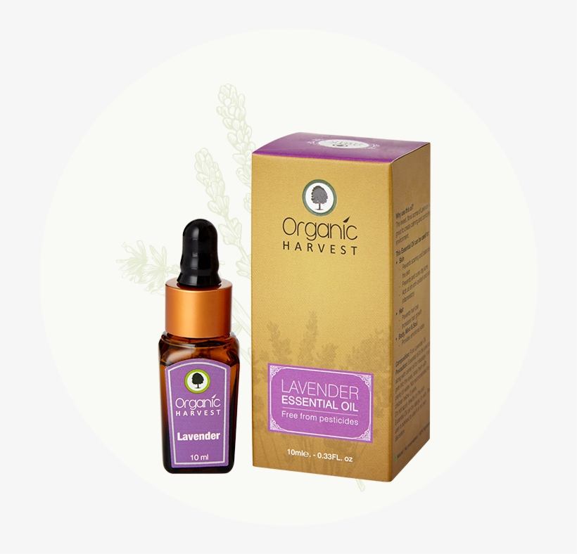 Cosmetics, transparent png download