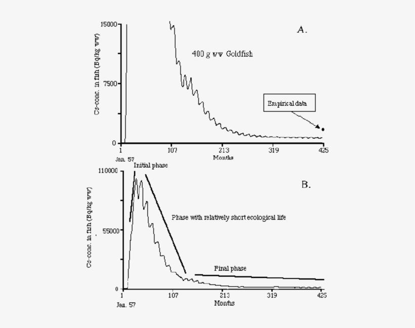 Reconstruction Of Cs-concentrations In Fish - Diagram, transparent png download
