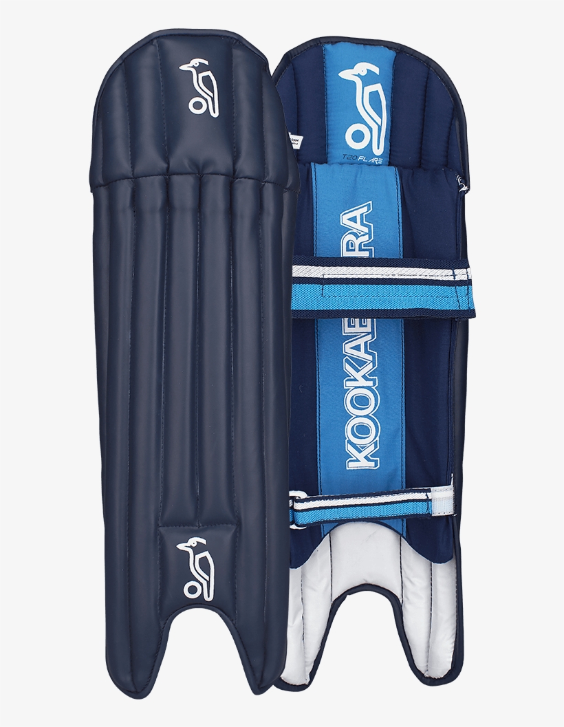 Kookaburra Cricket, transparent png download