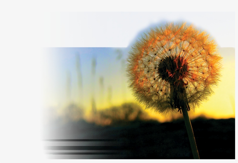 Img Pagina - Quotes For Beautiful Natural Scenes, transparent png download