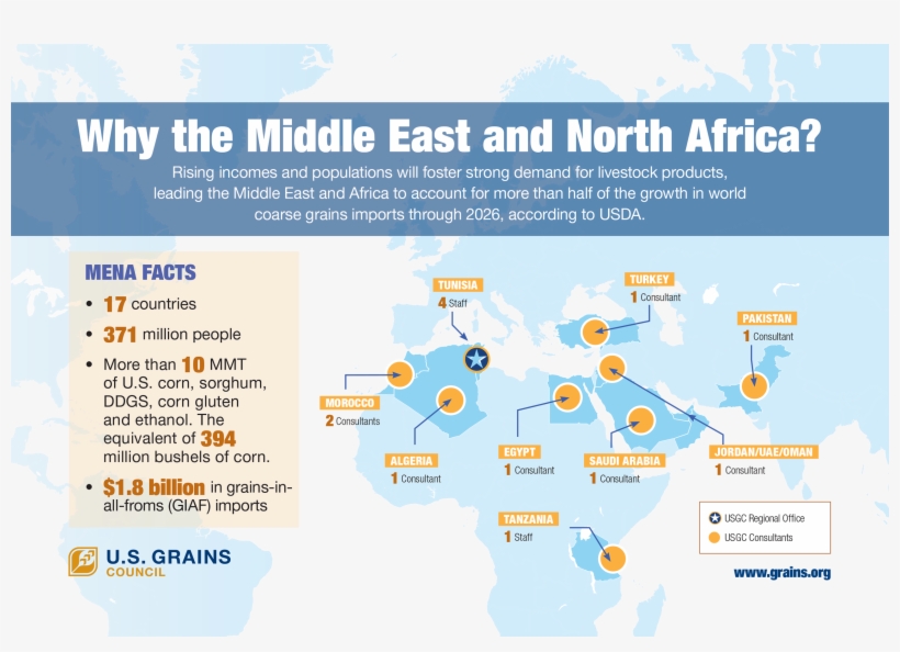 Download Infographic, transparent png download