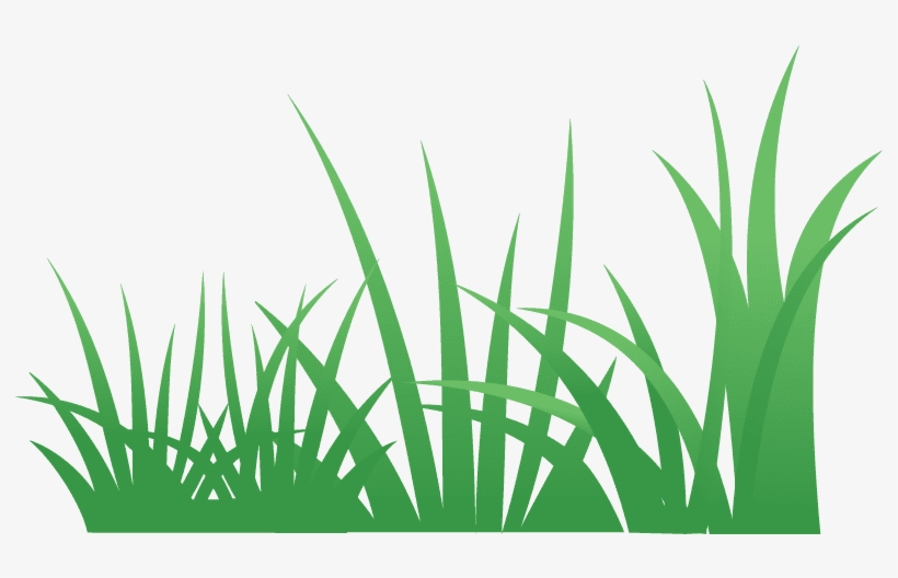 Grass 5 - Grass - Grass, transparent png download