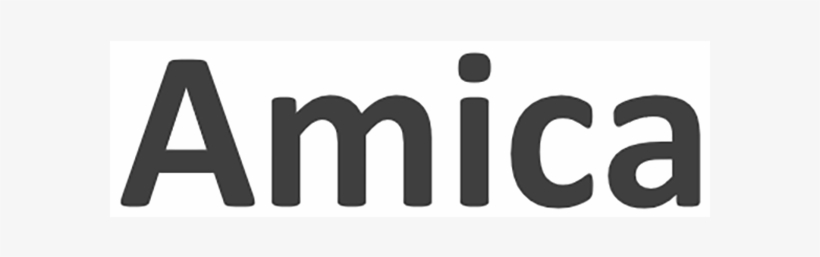 Amica Auto Insurance Review - Graphics, transparent png download