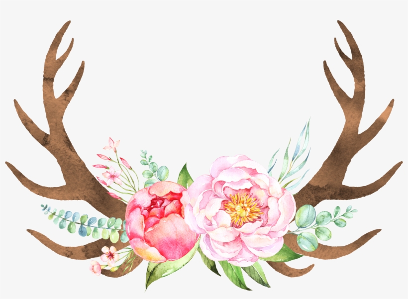 Deer Horns Png, transparent png download
