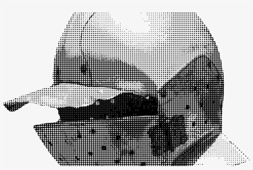 American Football Helmets Dallas Cowboys Washington - Killer Whale, transparent png download