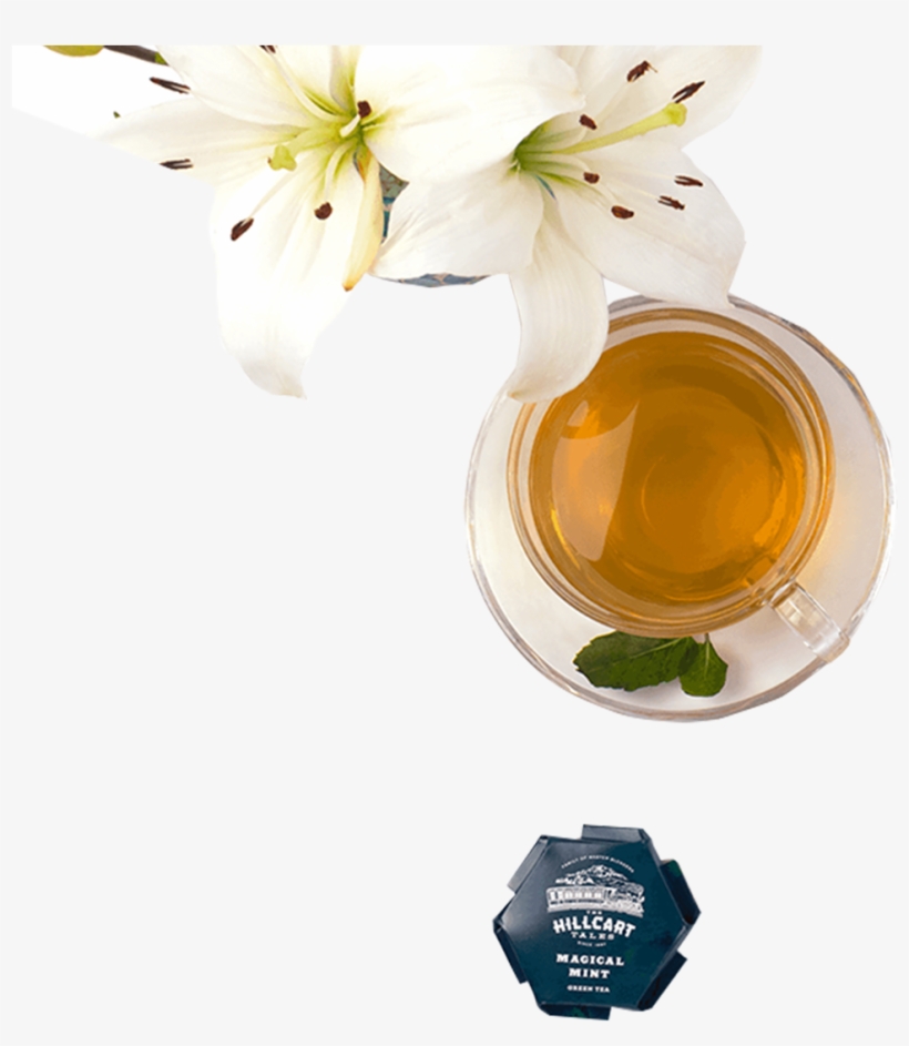 Catalog/green Tea/magical Mint T - Glass Bottle, transparent png download