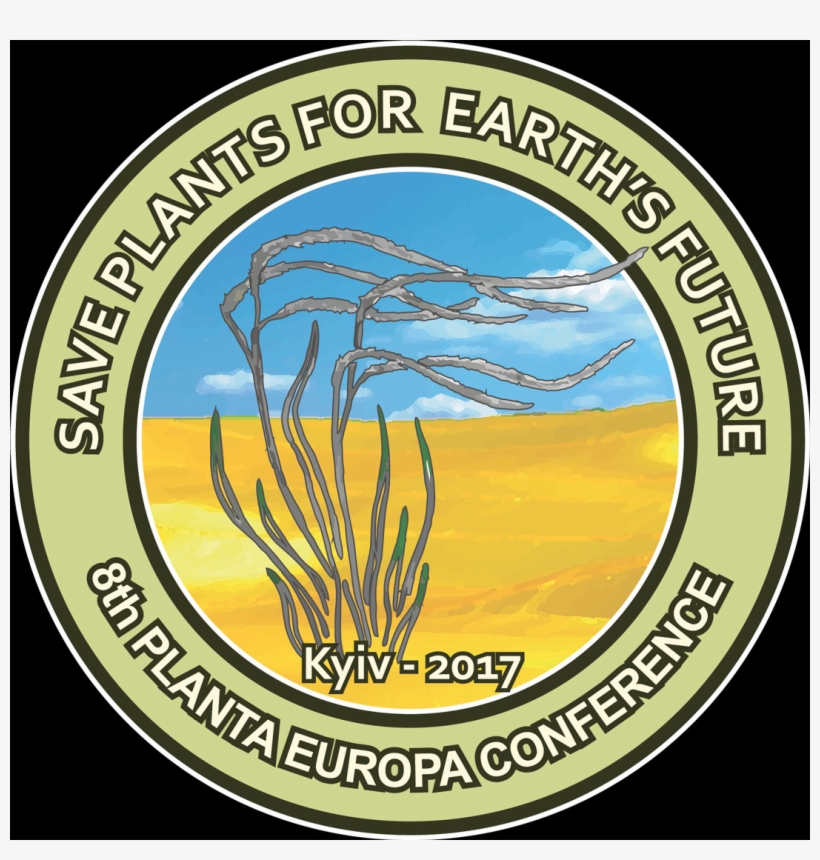 Pe Conference, Kolymbary, Crete - Tree, transparent png download