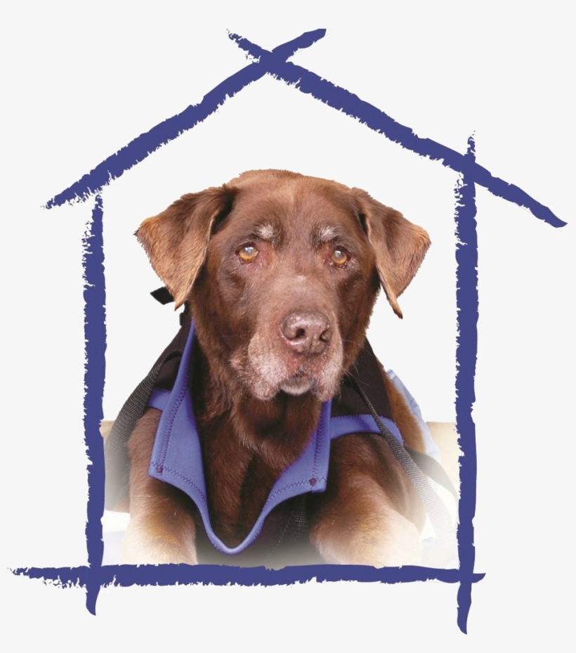 Our Mission - Marty's Place, transparent png download