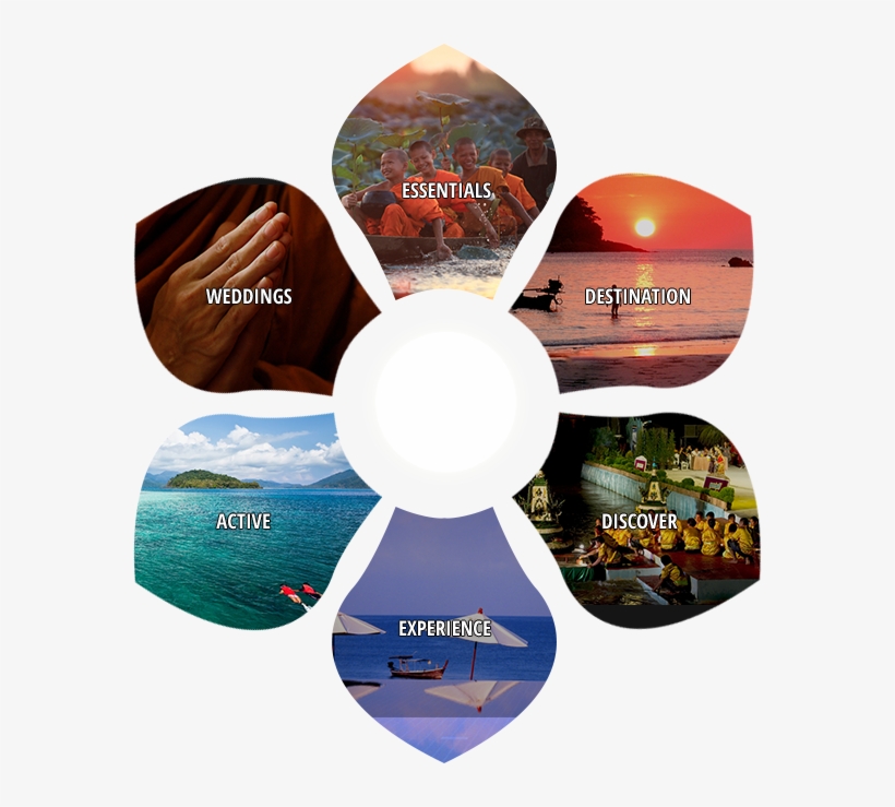 Discover Menu - Label, transparent png download