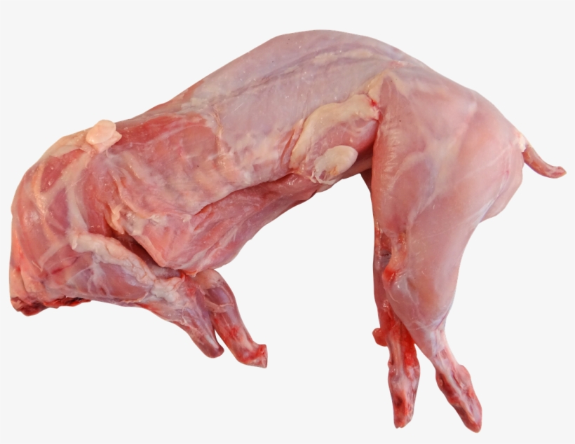 Rabbit Whole Raw Cooking Food Png Image - Prezzo Coniglio Nostrano Al Kg, transparent png download