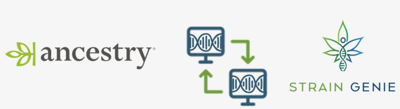 Ancestry.com, transparent png download