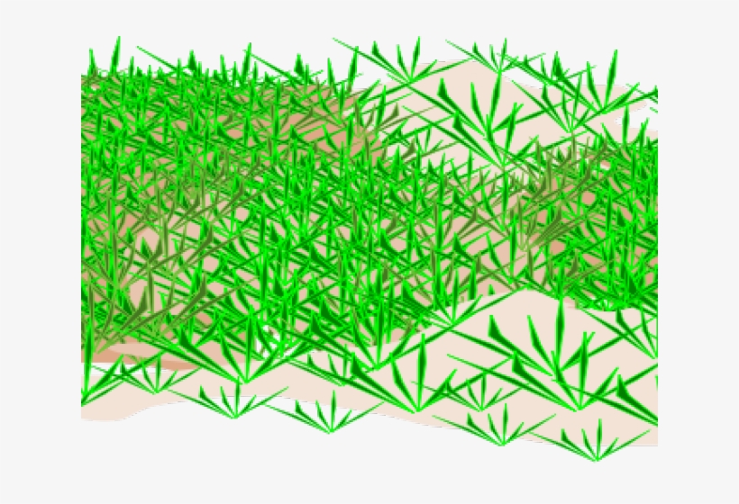 Ground Clipart Grass - Grass, transparent png download
