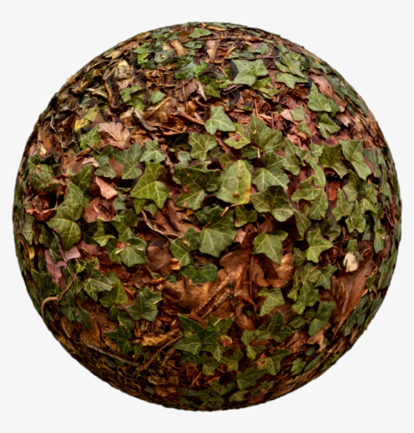 Showcase3 - Circle, transparent png download