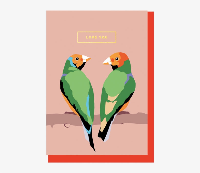 Lovebird, transparent png download