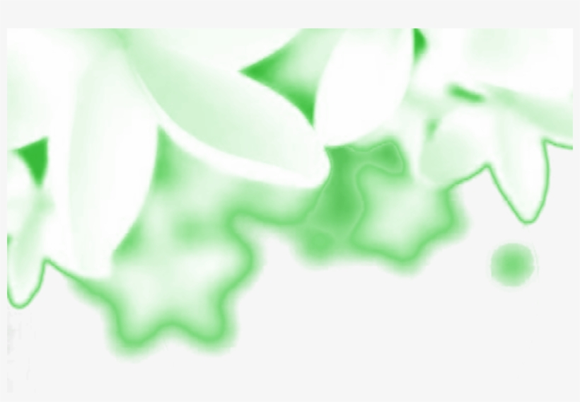 Lovebirds Fond Haut - Macro Photography, transparent png download