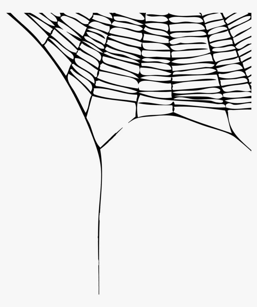 Spider On Web Clear Background, transparent png download