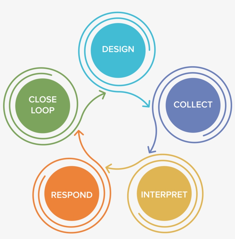 Perceptual Feedback Loop Graphic - Circle, transparent png download
