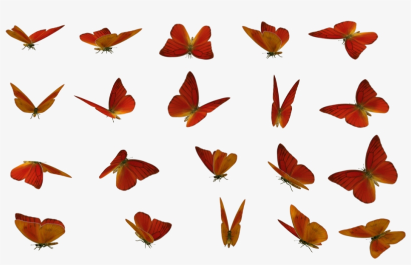 Butterfly, Stock Photography, Rendering, Leaf, Moths - 10 Mariposas En Diferentes Posiciones, transparent png download