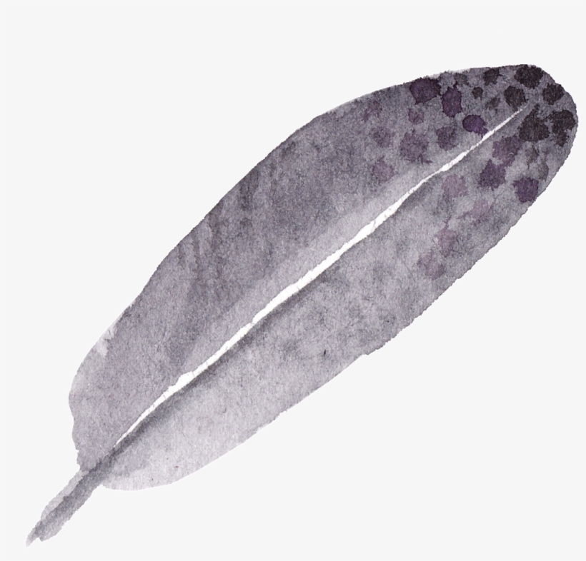 This Graphics Is Black Ink Wing Transparent Decorative - Inkstick, transparent png download