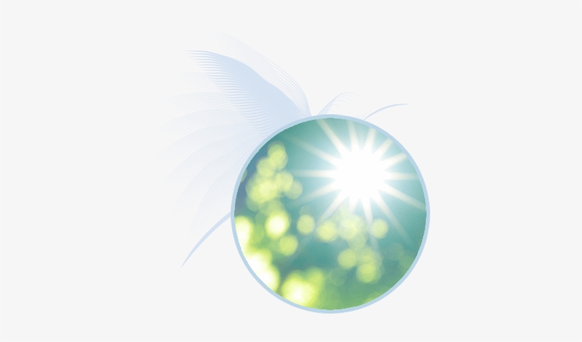 Core Practices - Circle, transparent png download