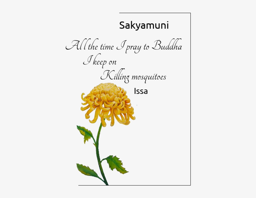 Issa Haiku - Haiku, transparent png download