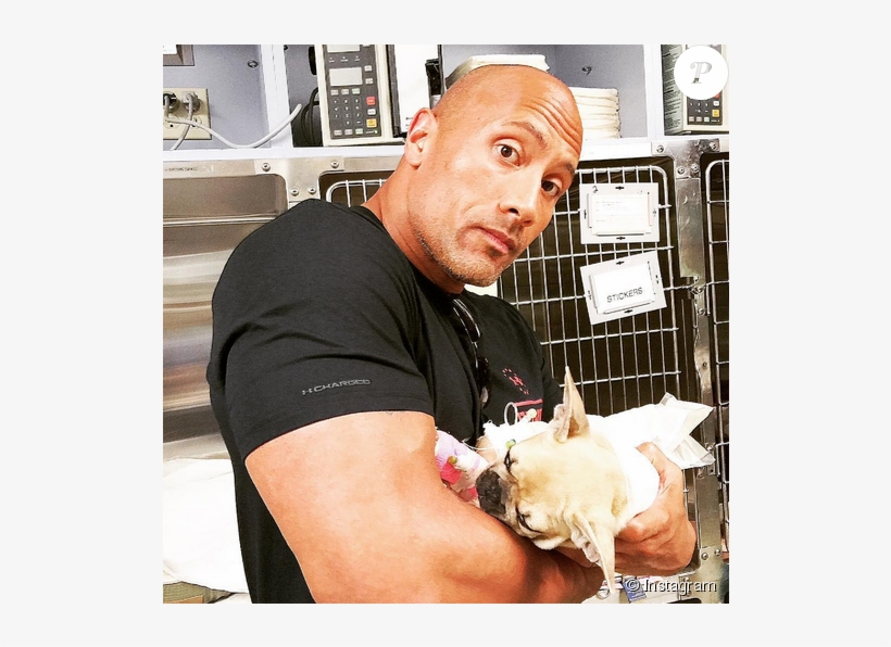 Dwayne Johnson A Rajouté Une Photo De Son Chien Brutus, - Dwayne Johnson Dog Brutus, transparent png download
