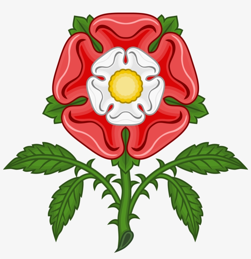 Rosa De Tudor, transparent png download