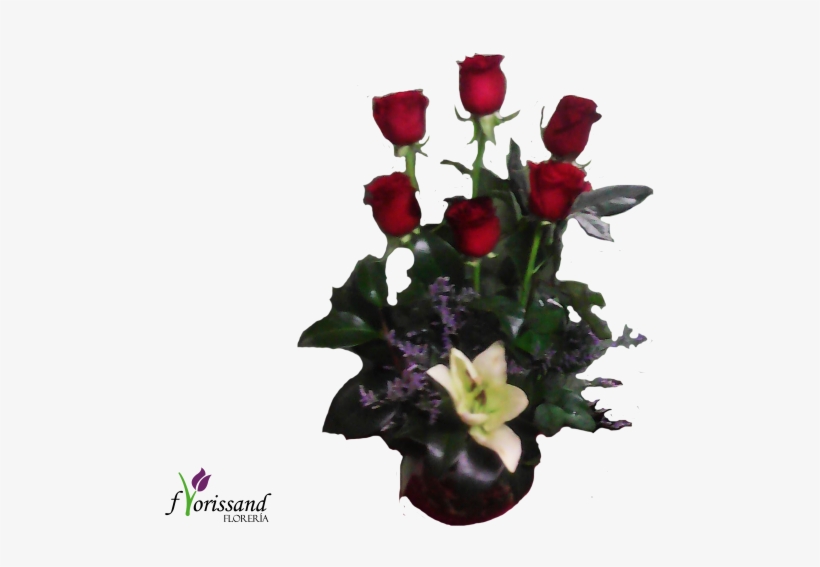 Pecerita - Garden Roses, transparent png download