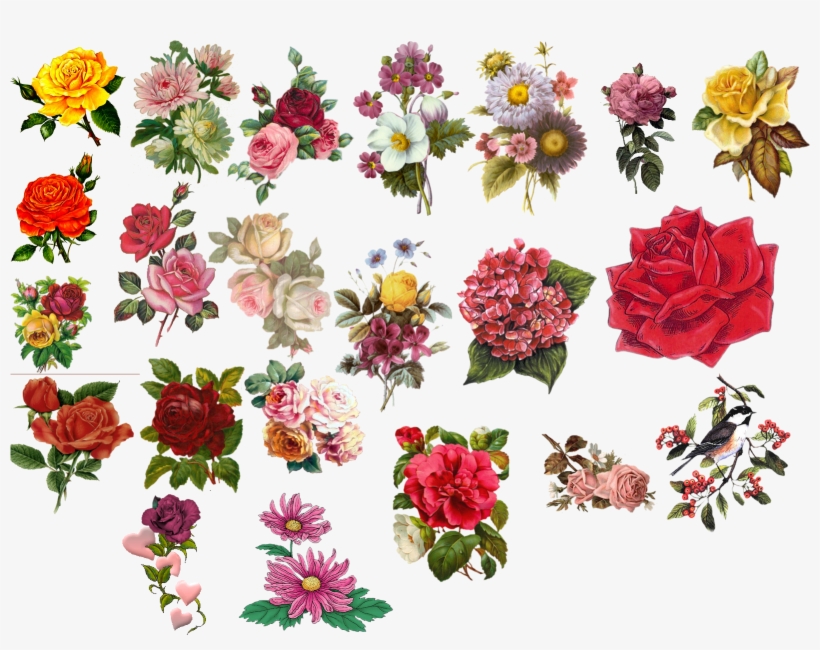 Pictures Beautiful Flowers Hcthc, transparent png download