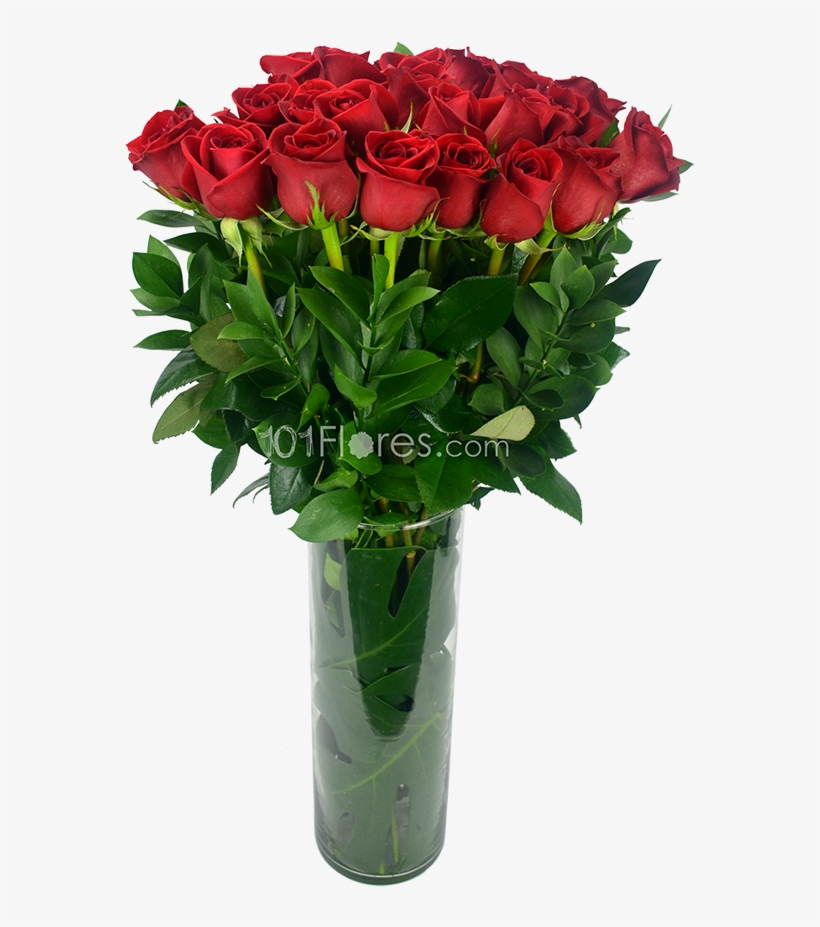 Divino - Garden Roses, transparent png download