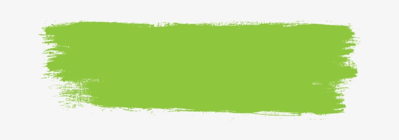 Here We Have Selected The Best Photos - Grass, transparent png download