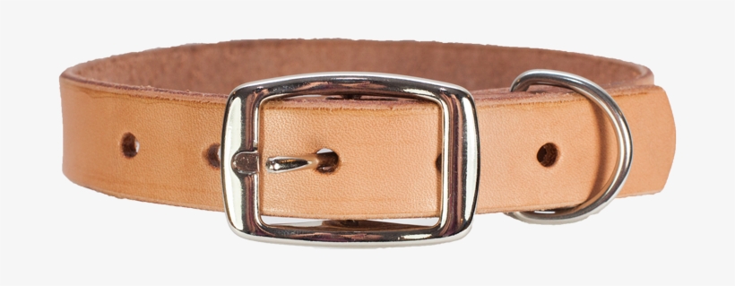 Dog Collar Png Images Transparent - Collar Transparent, transparent png download