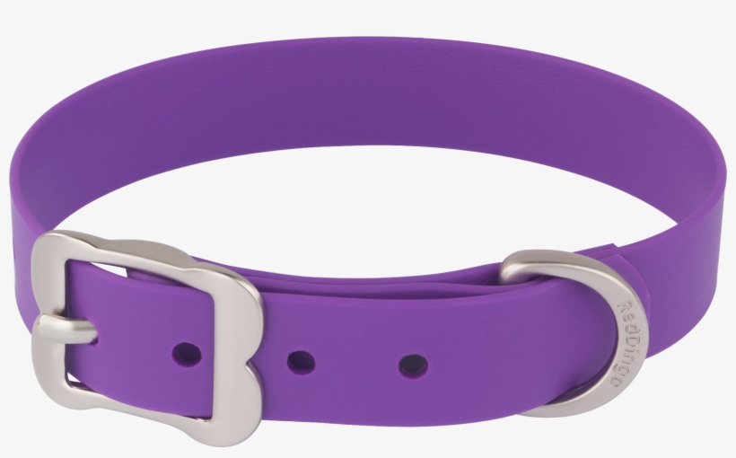 Dog Collar Png - Red Dingo Vivid Pvc Dog Collar, X-small, Purple, transparent png download