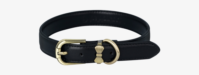 Buckle, transparent png download