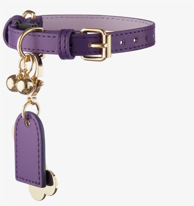 Next - Collar, transparent png download