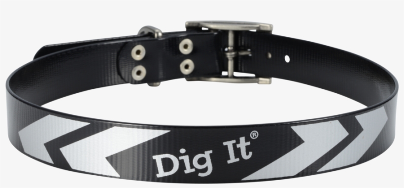 Sport Collars, transparent png download