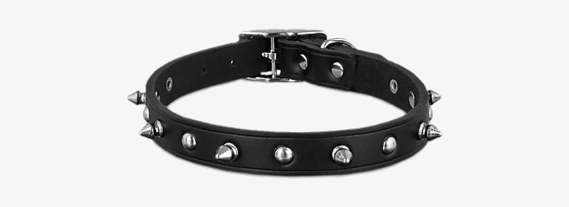 Black Leather Spike Dog Collar - Bond & Co. Black Leather Spike Dog