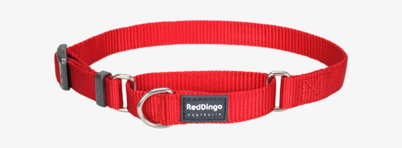 Classic Martingale Dog Collar - Red Dingo Mc-zz-re-sm Martingale Dog Collar Classic, transparent png download