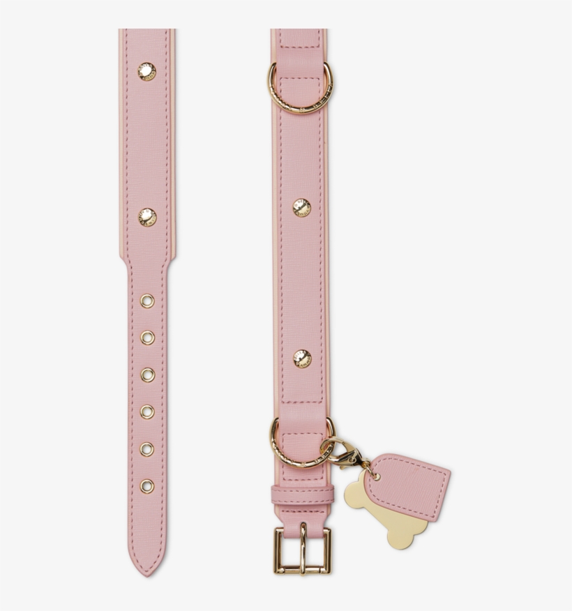 Tan Dog Collar - Strap, transparent png download