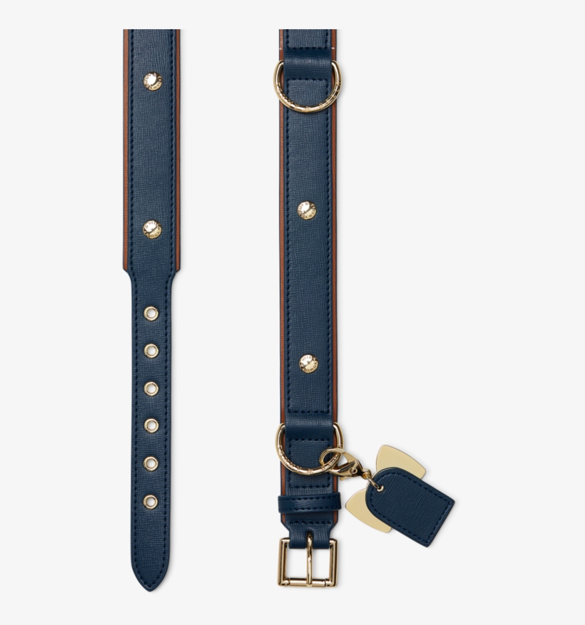 Brown Dog Collar - Strap, transparent png download