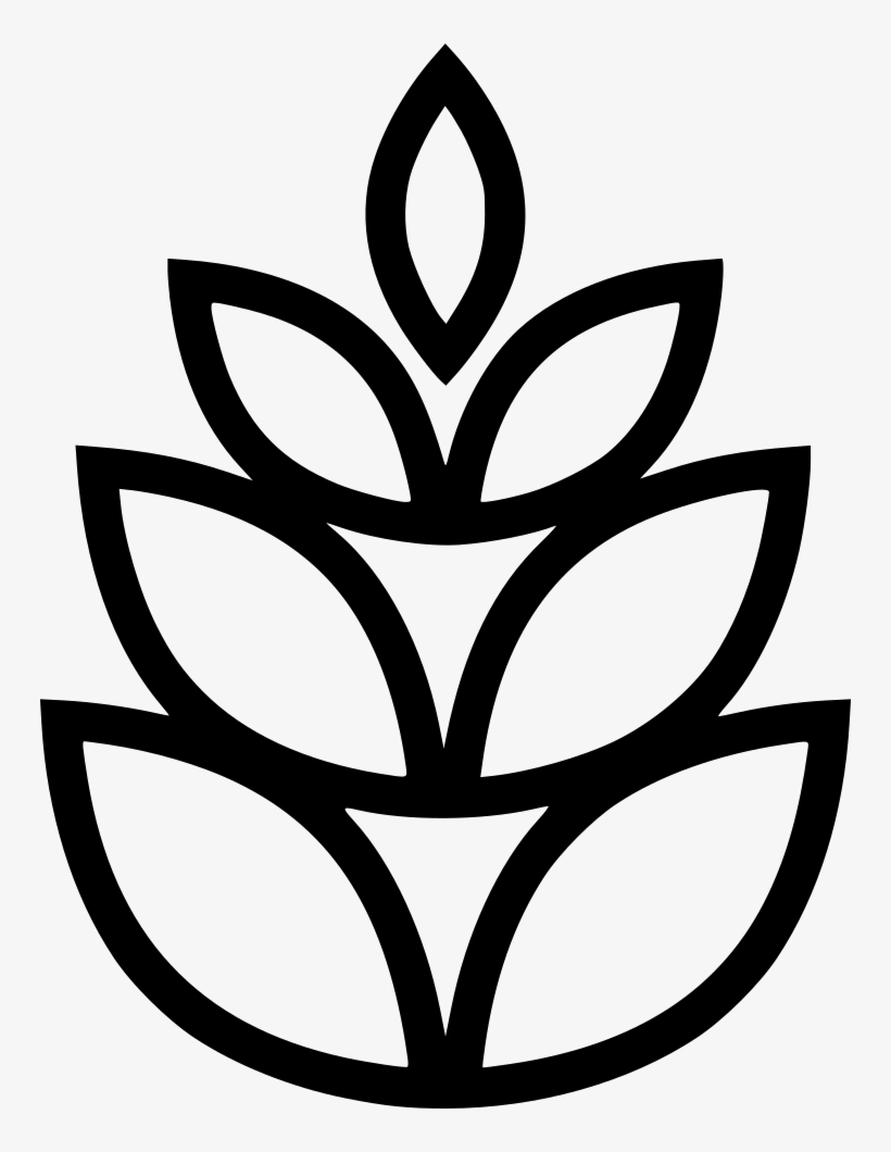Pine Cone - - Conifer Cone, transparent png download