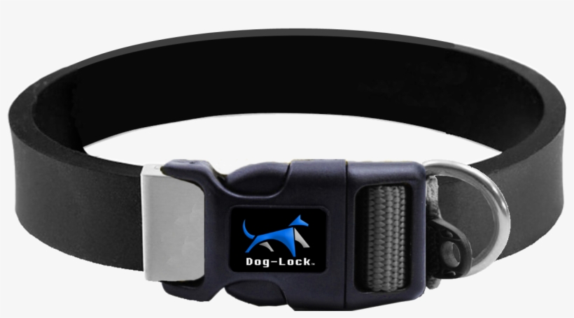 Collar Gps Png, transparent png download