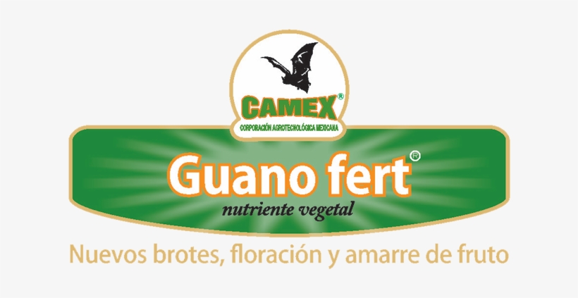 Guanofert - Bird, transparent png download