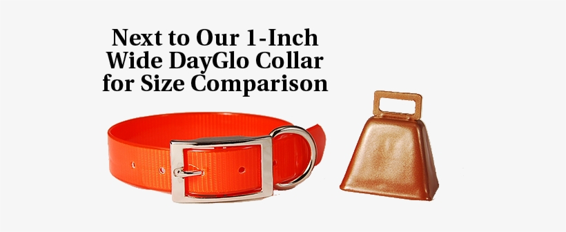 Images/ldcb With Collar - Belt, transparent png download