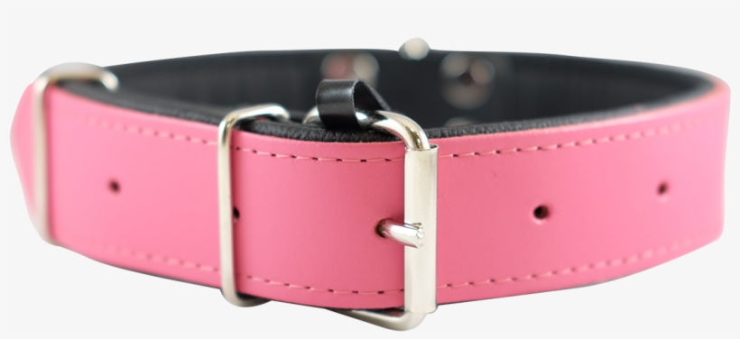 Prev - Strap, transparent png download